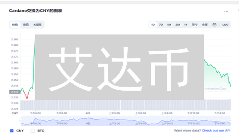 艾达币：颠覆传统支付的潜力与挑战