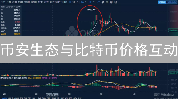 币安生态与比特币价格互动：交易量与市场影响深度分析