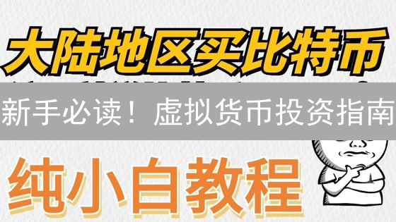 新手必读！虚拟货币投资指南：稳健入门，避开雷区！