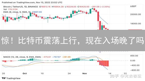 惊！比特币震荡上行，现在入场晚了吗？火币数据独家解读！