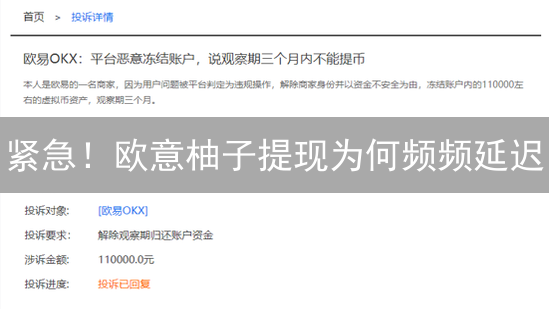 紧急！欧意柚子提现为何频频延迟？掌握这几招，资金秒到！