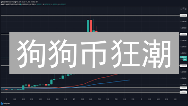 狗狗币狂潮：社区、名人与交易所的财富密码？
