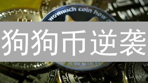 狗狗币逆袭？能否取代以太坊？深度解析+2024预测！