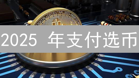 2025 年支付选币？比特币 vs 莱特币：支付场景适用性对比分析