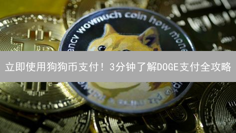 立即使用狗狗币支付！3分钟了解DOGE支付全攻略
