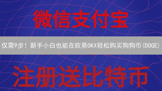 仅需9步！新手小白也能在欧易OKX轻松购买狗狗币(DOGE)