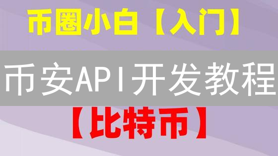 币安API开发教程：实践与探索