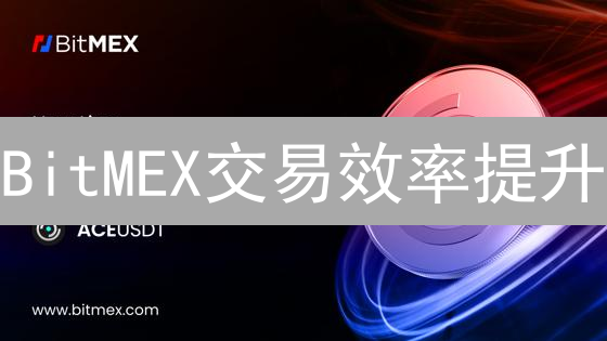 BitMEX交易效率提升：策略、技巧与平台特性深度解析