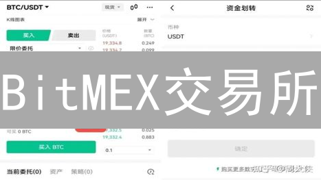 BitMEX交易所：加密货币衍生品交易的先锋与挑战
