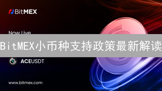 BitMEX小币种支持政策最新解读：影响与投资者应对