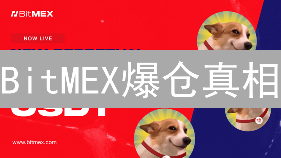 BitMEX爆仓真相：新手如何玩转高杠杆，稳赚不赔？