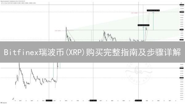Bitfinex瑞波币(XRP)购买完整指南及步骤详解