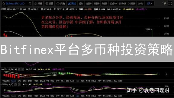 Bitfinex平台多币种投资策略：风险评估、资产配置与功能应用