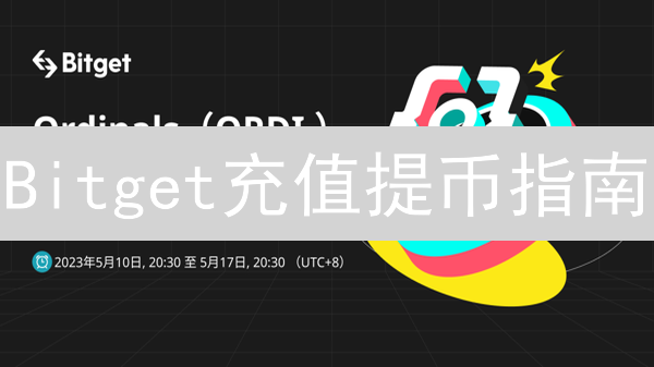 Bitget充值提币指南：新手必读，避坑秘籍！