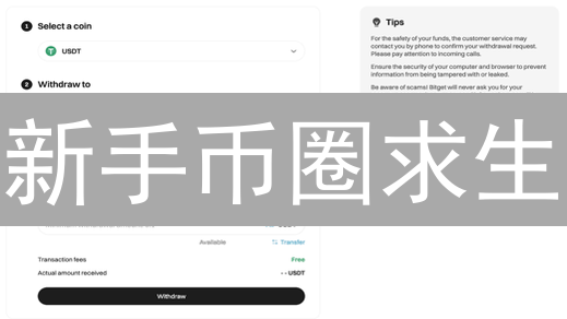 新手币圈求生：Bitget vs BigONE，哪个更适合你？速看！