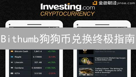 Bithumb狗狗币兑换终极指南：新手到高手，玩转DOGE交易