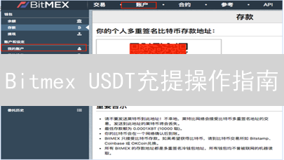 Bitmex USDT充提操作指南：流程详解与注意事项