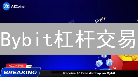 Bybit杠杆交易：风险与收益并存？新手必看指南！