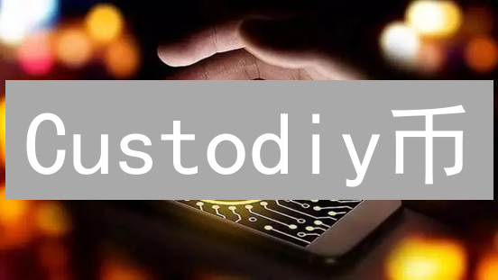 Custodiy币：安全透明的数字资产托管解决方案