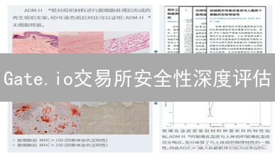 Gate.io交易所安全性深度评估：风险、挑战与机遇分析