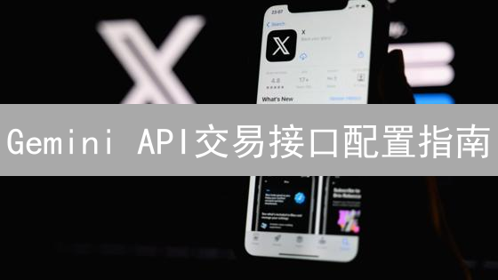 Gemini API交易接口配置指南：步骤详解与安全建议