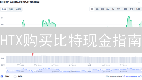 HTX购买比特现金指南：步骤与安全策略详解