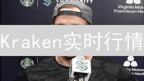 Kraken实时行情：解析数据质量与交易策略