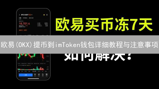 欧易(OKX)提币到imToken钱包详细教程与注意事项