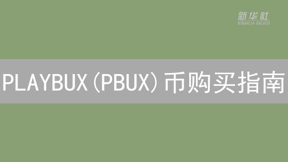 PLAYBUX(PBUX)币购买指南：交易所、风险与策略