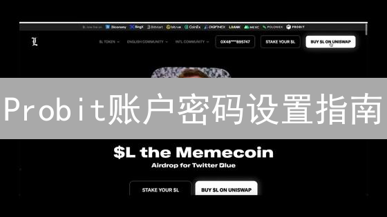 Probit账户密码设置指南：保护数字资产安全
