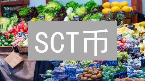 SCT币：别急着梭哈！这几个坑你踩过了吗？