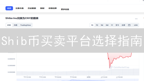 Shib币买卖平台选择指南：主流与去中心化交易所考量