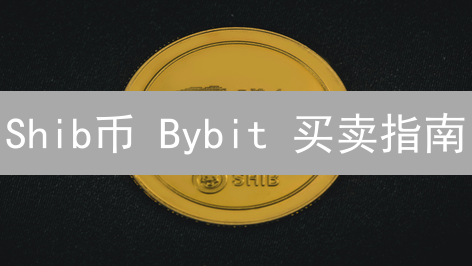 Shib币 Bybit 买卖指南：抓住暴富机会？新手必看！