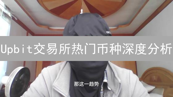 Upbit交易所热门币种深度分析：风向标与投资潜力