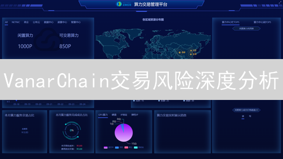 VanarChain交易风险深度分析：市场、技术与安全