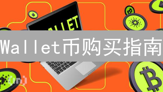 Wallet币购买指南：安全步骤与风险评估