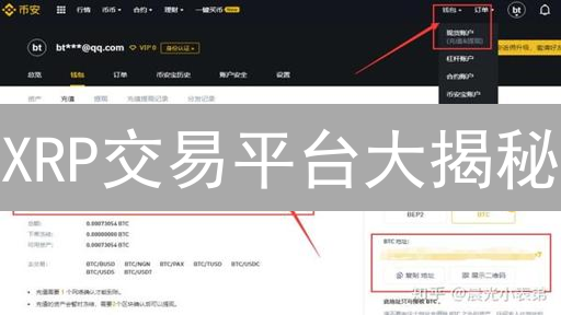 XRP交易平台大揭秘：新手老手都该看！避坑指南！