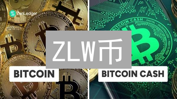 ZLW币：定义、起源、技术特性与应用场景深度解析